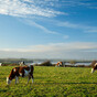 ‘Unacceptable cultural barriers’ preventing women taking over family farms