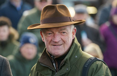 Intranet delivers on Punchestown debut for Willie Mullins