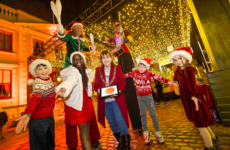 Lord Mayor has 'no regrets' about not having live animal crib at Mansion House