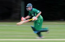 Ireland cruise past Zimbabwe in T20 warm-up