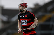 Waterford and Ballygunner’s new star Fitzgerald hailed as 'Dessie Hutchinson 2.0’