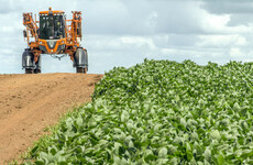 Pesticide lobbyists pushing against environmental protections, research finds