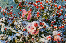 Cold snaps: Reader photos of snowy scenes from around the country
