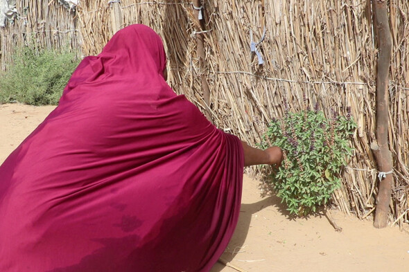 Opinion: Child Marriage - a human rights violation happening every two seconds - Vimarsana News