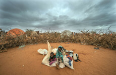Peter Power: Climate change risking famine in Somalia and beyond as global leaders dither