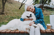 Dog behaviourist: We love our dogs, but do we understand how they see the world?