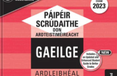 Poll: Should Higher Level Leaving Cert Irish be dropped as a requirement for primary teachers?
