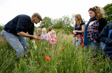 Opinion: Our fields may be green, but we are failing to protect biodiversity