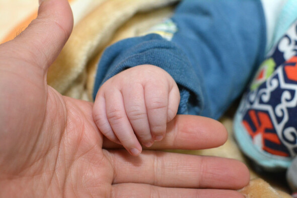 Cabinet memo on international surrogacy aims to deal with recognising parentage - Vimarsana News