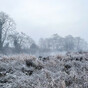 Status Orange ice warning to come into effect for 19 counties tomorrow