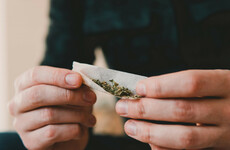 Legalisation and regulation of drugs like cannabis should be examined by Govt, TDs say