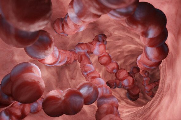Debunked: No evidence that a rise in serious Strep A cases is caused by Covid or flu vaccines - Vimarsana News