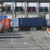 CSO data shows Irish exports up by 6pc in July