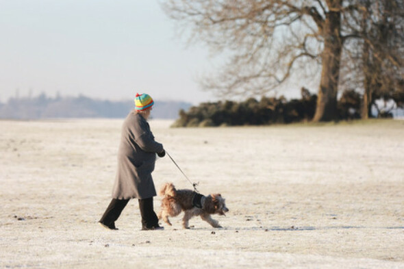 Status Yellow ice warning to come into effect for 22 counties this evening - Vimarsana News