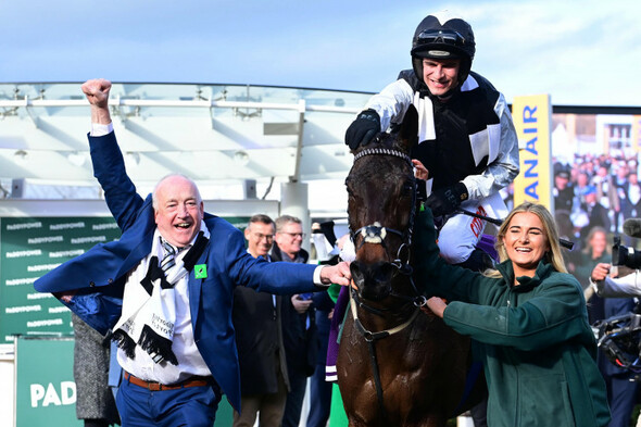 Flooring Porter - The rags to riches story of a Cheltenham winning hero - Vimarsana News