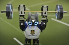 Average European believes robot housework still over 20 years away