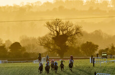 Navan horse racing card cancelled due to frozen parts on track