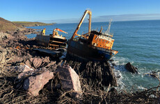 Ravaged farmland and nightime scavengers: Locals at breaking point over impact of MV Alta