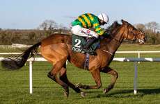 5 tips for horses that caught the eye this Christmas