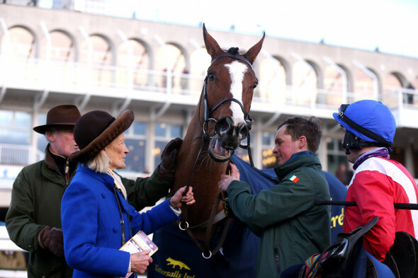 Sir Gerhard suffers injury setback as Cheveley Park's miserable luck continues - Vimarsana News