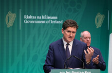 Gas and electricity to remain at 'historical high' for next two years, says Ryan