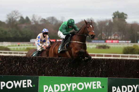 Grade One Rewards for Blue Lord at Leopardstown - Vimarsana News