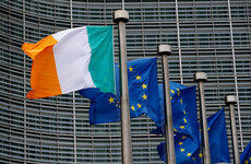Dutch Ambassador: There has been a shift in how Ireland is discussing neutrality