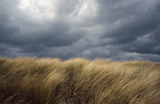 Status Yellow wind warning issued for three counties in the north west
