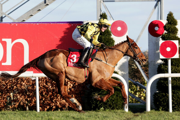 State Man and Gaillard Du Mesnil claim big wins for Mullins on final day at Leopardstown - Vimarsana News