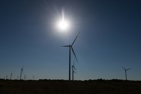 Met Éireann says 2022 set to be Ireland's hottest year since records began - Vimarsana News