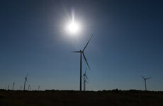 Met Éireann says 2022 set to be Ireland's hottest year since records began
