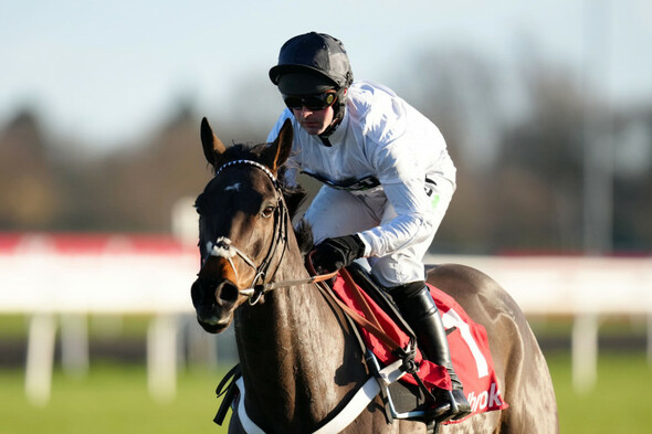 Superstar hurdler Constitution Hill 'almost certainly' going straight to Cheltenham - Vimarsana News