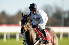 Superstar hurdler Constitution Hill 'almost certainly' going straight to Cheltenham