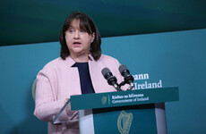 Gardaí investigating as junior minister says 'bag of sh*t' thrown at her and TD