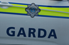 Two arrested as part of investigation into conduct of former Garda staff employee