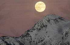 Stargazers encouraged to look upwards for a view of the ‘Wolf Moon’