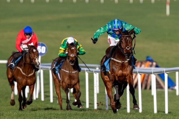 Champ Kiely dominates as Willie Mullins savours more Naas glory - Vimarsana News