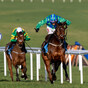 Champ Kiely dominates as Willie Mullins savours more Naas glory