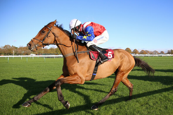 Donn McClean: Impressive winners at the first Grade 1 races of the year - Vimarsana News