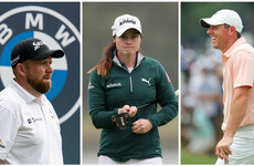 What will the new year hold for Ireland's golfing stars?