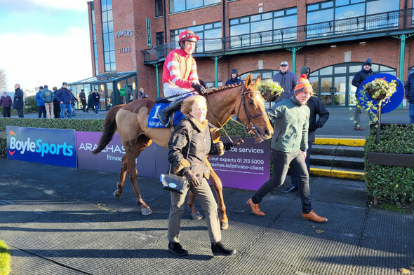 Blood Destiny enters Triumph Hurdle contention with stylish win at Fairyhouse - Vimarsana News