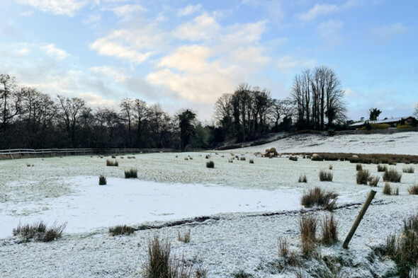 Motorists urged to slow down as nationwide status yellow ice warning remains in place until midday - Vimarsana News