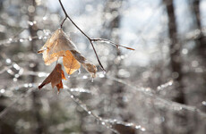 Ice warning remains in place but sunny spells are on the way for Sunday