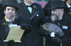 Six more weeks of winter predicted in Pennsylvania's Groundhog Day ceremony