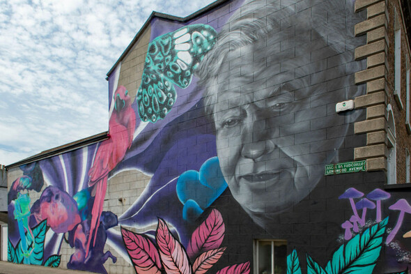 Bill aims to make it easier to allow for large scale public murals - Vimarsana News
