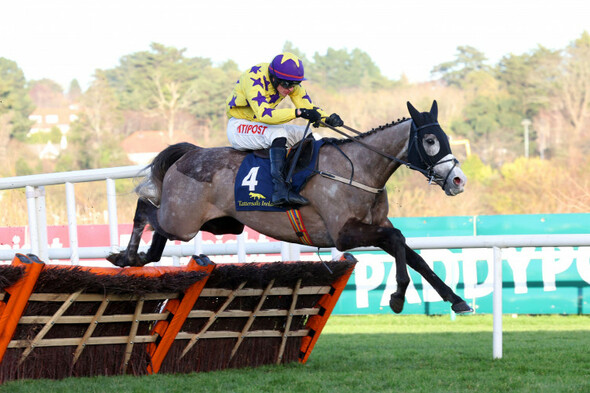Il Etait Temps times it right, as Facile Vega disappoints at Leopardstown - Vimarsana News