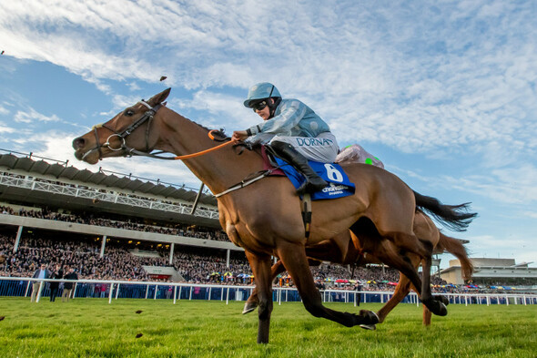 'One last hurrah' - Honeysuckle set for Cheltenham swansong - Vimarsana News