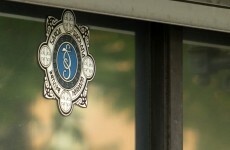 Man (25) shot at his home in Carlow