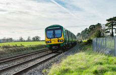 Review of Ireland's rail network set to propose restoring old lines in place of greenways