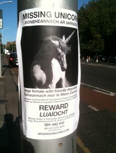 Annoying Viral Campaign of the Day